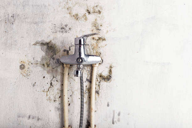 Best Mold Remediation for Schools in Connelly Springs, NC