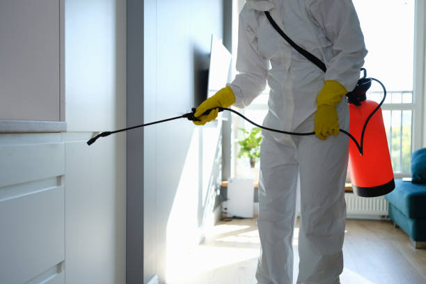 Professional Mold Remediation in Connelly Springs, NC
