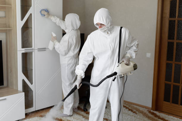 Best Industrial Mold Remediation in Connelly Springs, NC